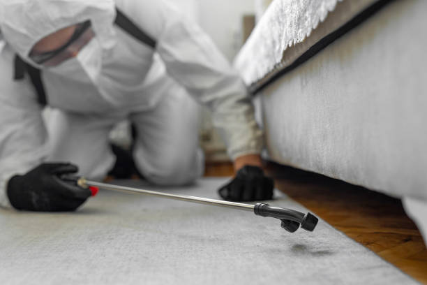 Professional Ant Control technician working in North Beach, MD